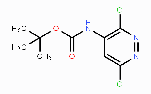 CAS No. 887310-61-4, 4-(Boc-amino)-3,6-dichloropyridazine