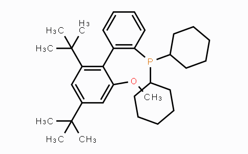CAS No. 1848244-75-6, [2',4'-Bis(1,1-dimethylethyl)-6'-methoxy[1,1'-biphenyl]-2-yl]dicyclohexylphosphine
