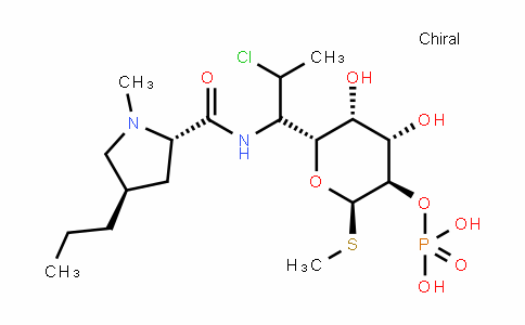 24729-96-2 | 克林霉素磷酸酯
