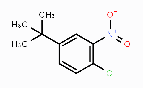 CAS No. 58574-05-3, 4-tert-butyl-1-chloro-2-nitrobenzene