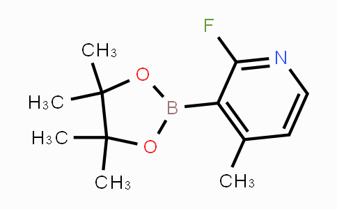 2-Fluoro-4-methylpyridine-3-boronic acid pinacol ester
