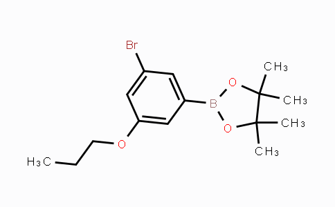 CAS No. 1218790-36-3, 3-Bromo-5-propoxyphenylboronic acid, pinacol ester