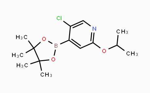 CAS No. 2121513-31-1, 5-Chloro-2-isoproxypyridine-4-boronic acid pinacol ester