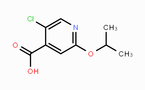 CAS No. 1602466-28-3, 5-Chloro-2-(propan-2-yloxy)pyridine-4-carboxylic acid