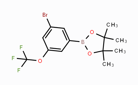 CAS No. 1799485-18-9, 3-Bromo-5-(trifluoromethoxy)phenylboronic acid pinacol ester