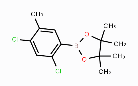 CAS No. 2121512-39-6, 2,4-Dichloro-5-methylphenylboronic acid pinacol ester