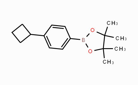 2121513-90-2 | (4-Cyclobutylphenyl)boronic acid pinacol ester