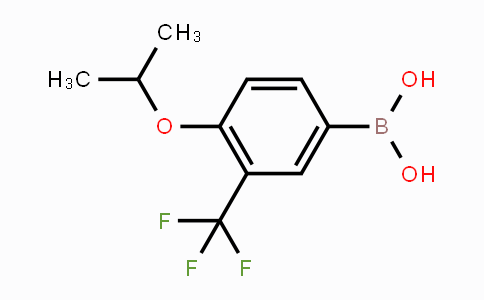 CAS No. 1444260-43-8, 4-Isopropoxy-3-(trifluoromethyl)phenylboronic acid