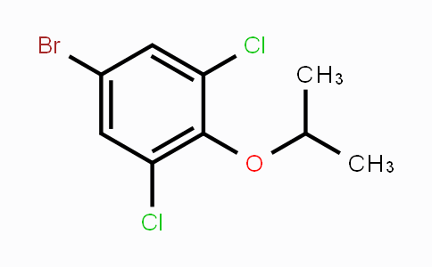 CAS No. 1133116-33-2, 5-Bromo-1,3-dichloro-2-isopropoxybenzene