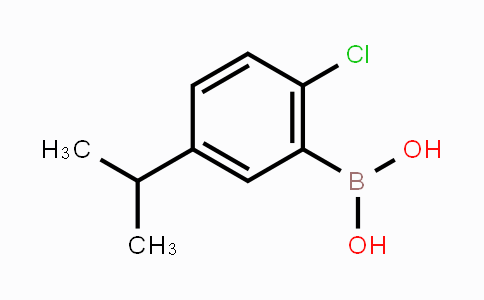 875550-89-3 | (2-Chloro-5-isopropylphenyl)boronic acid