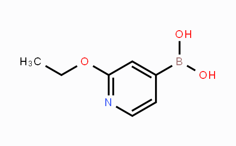 CAS No. 1072946-58-7, 2-Ethoxypyridin-4-ylboronic acid
