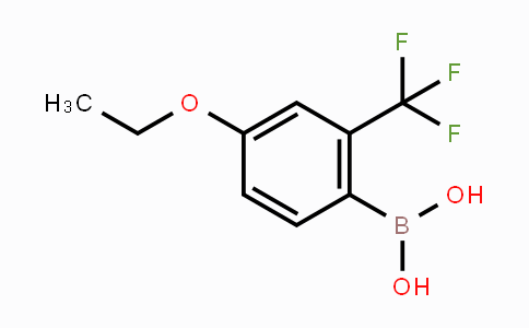 MC453770 | 313545-39-0 | 4-Ethoxy-2-(trifluoromethyl)phenylboronic acid