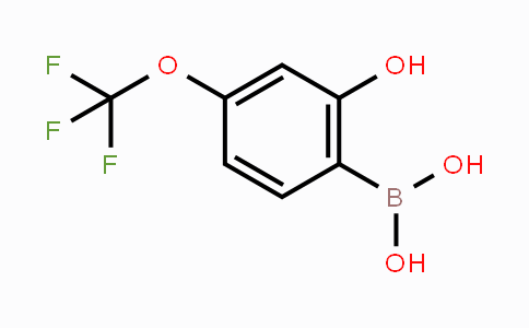 1309768-22-6 | 2-Hydroxy-4-(trifluoromethoxy)phenylboronic acid