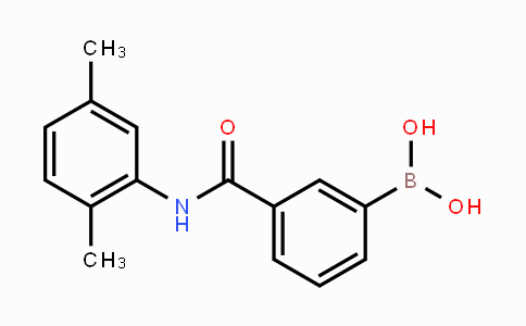 DY453918 | 957061-00-6 | 3-(2,5-Dimethylphenylcarbamoyl)phenylboronic acid