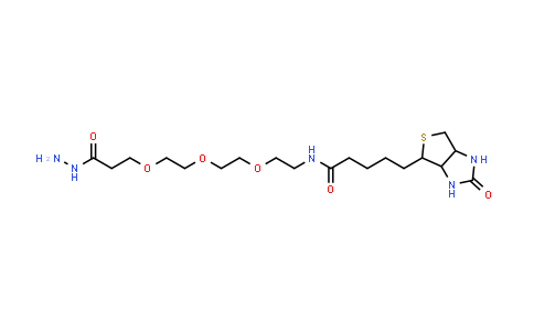 CAS No. 1381861-94-4, Biotin-PEG3-hydrazide