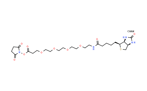 CAS No. 459426-22-3, Biotin-PEG4-NHS ester