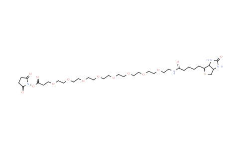 MC457498 | 2143968-03-8 | Biotin-PEG8-NHS ester