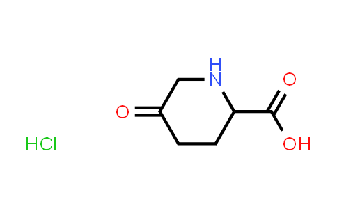 CAS No. 99980-20-8, 5-oxopiperidine-2-carboxylic acid Hydrochloride