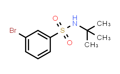CAS No. 308283-47-8, 3-bromo-N-tert-butylbenzenesulfonamide