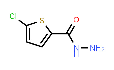 CAS No. 351983-31-8, 5-Chloro-2-thiophenecarboxylic acid hydrazide