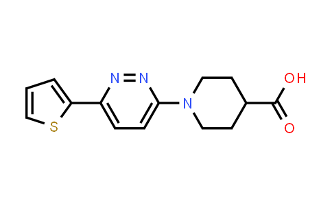 1017117-60-0 | 1-[6-(thiophen-2-yl)pyridazin-3-yl]piperidine-4-carboxylic acid