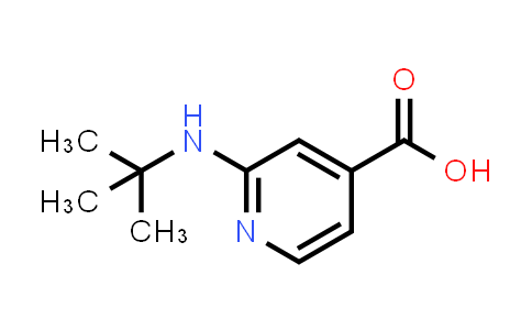 CAS No. 1019387-62-2, 2-(tert-Butylamino)isonicotinic acid