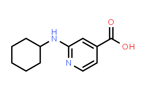 CAS No. 1019461-35-8, 2-(Cyclohexylamino)isonicotinic acid