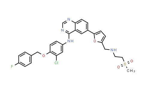 1026818-86-9 | N-[3-Chloro-4-[(4-fluorophenyl)methoxy]phenyl]-6-[5-[[[2-(methylsulfonyl)ethyl]amino]methyl]-2-furanyl]-4-quinazolinamine