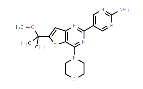 1033740-29-2 | 2-Pyrimidinamine, 5-[6-(1-methoxy-1-methylethyl)-4-(4-morpholinyl)thieno[3,2-d]pyrimidin-2-yl]-