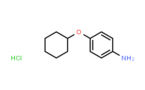 CAS No. 105971-50-4, 4-(Cyclohexyloxy)aniline hydrochloride