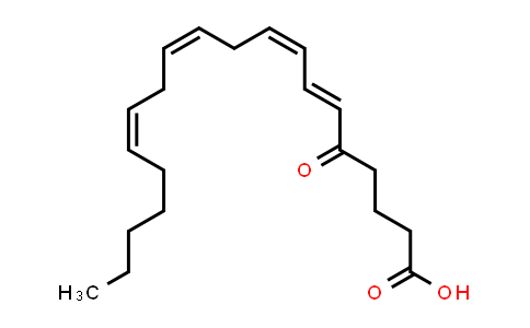 CAS No. 106154-18-1, 5-OxoETE