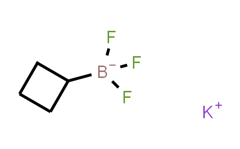 CAS No. 1065010-88-9, Potassium cyclobutyltrifluoroboranuide