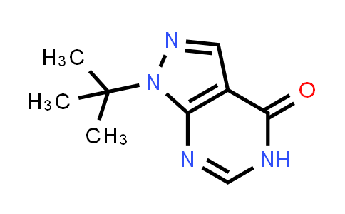 CAS No. 1094377-59-9, 1-tert-Butyl-1H,4H,5H-pyrazolo[3,4-d]pyrimidin-4-one