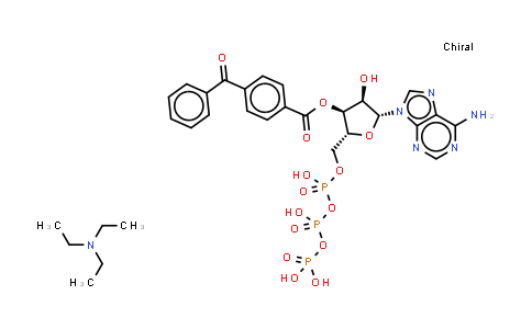 CAS No. 112898-15-4, BzATP (triethylammonium salt)