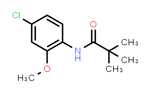 113137-29-4 | N-(4-Chloro-2-methoxyphenyl)pivalamide