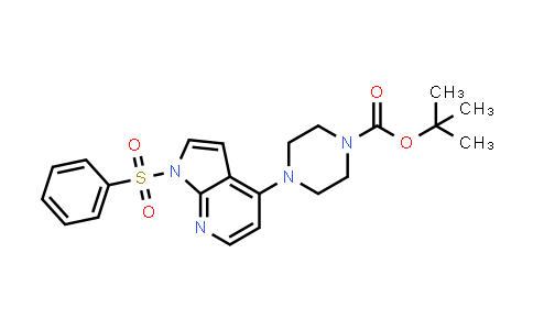 1132660-12-8 | 1-Piperazinecarboxylic acid, 4-[1-(phenylsulfonyl)-1H-pyrrolo[2,3-b]pyridin-4-yl]-, 1,1-dimethylethyl ester