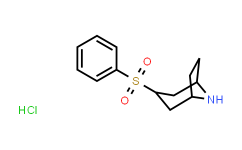 1135000-80-4 | 3-(Phenylsulfonyl)-8-azabicyclo[3.2.1]octane hydrochloride