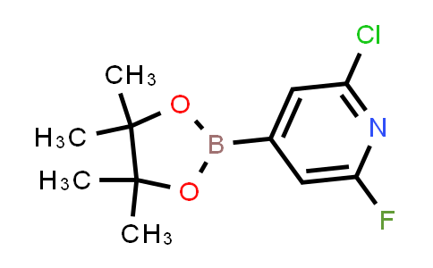 CAS No. 1146615-89-5, 2-Chloro-6-fluoro-4-(4,4,5,5-tetramethyl-1,3,2-dioxaborolan-2-yl)pyridine