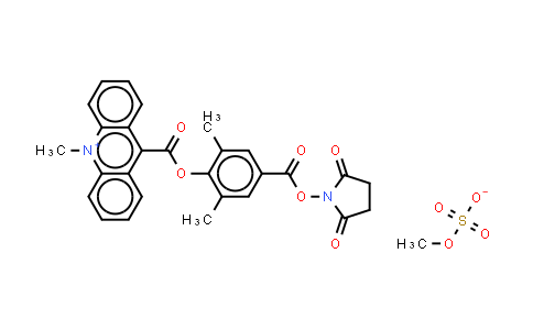 CAS No. 115853-74-2, 吖啶盐(DMAE-NHS)