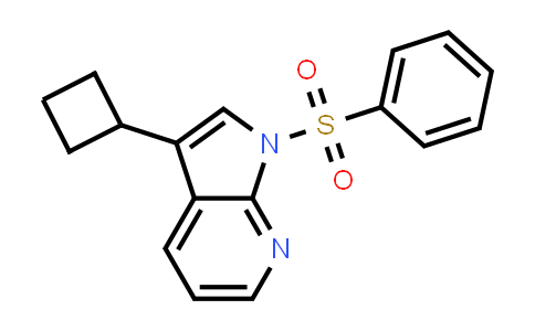 1186501-97-2 | 1H-Pyrrolo[2,3-b]pyridine, 3-cyclobutyl-1-(phenylsulfonyl)-