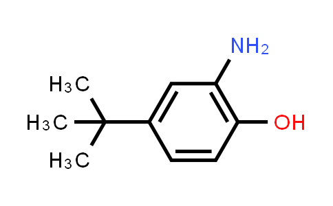 CAS No. 1199-46-8, 2-Amino-4-(tert-butyl)phenol