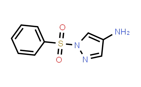 CAS No. 1208170-22-2, 1-(Phenylsulfonyl)-1H-pyrazol-4-amine