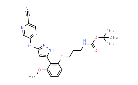CAS No. 1234015-66-7, Carbamic acid, N-[3-[2-[3-[(5-cyano-2-pyrazinyl)amino]-1H-pyrazol-5-yl]-3-methoxyphenoxy]propyl]-, 1,1-dimethylethyl ester