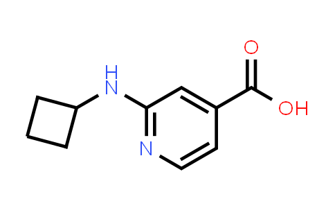 CAS No. 1251225-65-6, 2-(Cyclobutylamino)isonicotinic acid