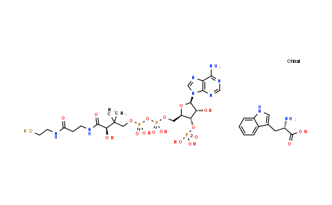 CAS No. 1282523-20-9, L-Tryptophan-CoA