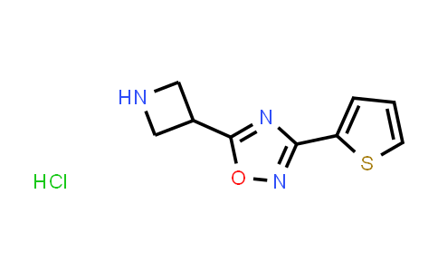 CAS No. 1286708-63-1, 5-Azetidin-3-yl-3-(2-thienyl)-1,2,4-oxadiazole hydrochloride