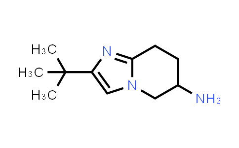 CAS No. 1306606-89-2, 2-(tert-Butyl)-5,6,7,8-tetrahydroimidazo[1,2-a]pyridin-6-amine