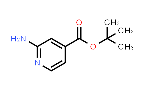 CAS No. 1338990-46-7, tert-Butyl 2-aminoisonicotinate