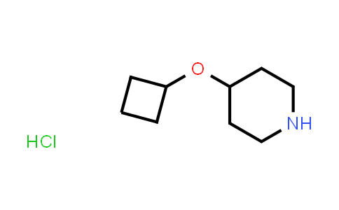 CAS No. 1341037-74-8, 4-Cyclobutoxypiperidine hydrochloride