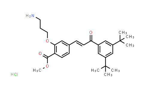 CAS No. 1351169-37-3, Methyl (E)-2-(3-aminopropoxy)-4-(3-(3,5-di-tert-butylphenyl)-3-oxoprop-1-en-1-yl)benzoate hydrochloride